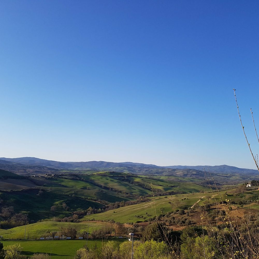 campagna-cinigiano